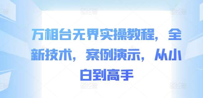 万相台无界实操教程,全新技术,案例演示,从小白到高手-赛德副业库
