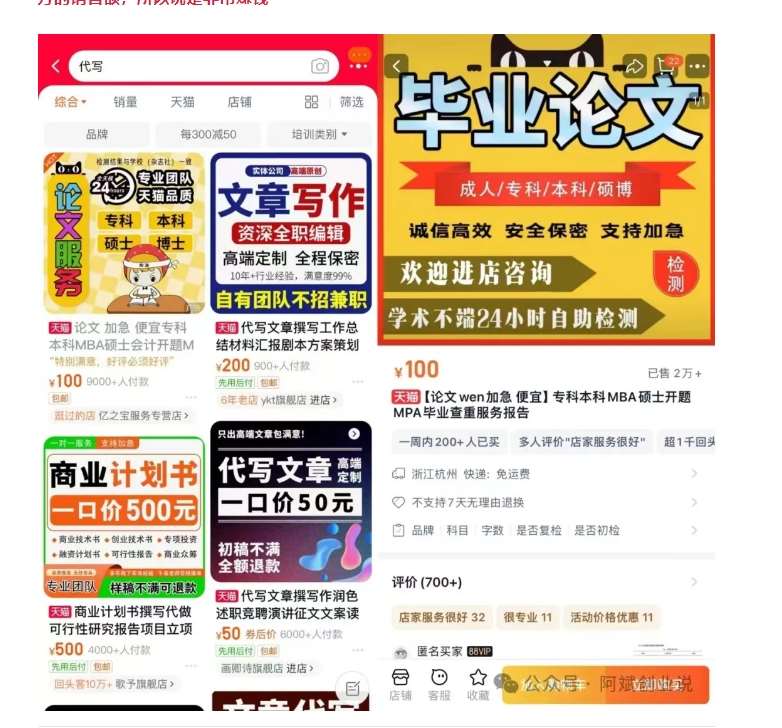 图片[2]-2024AI撸金项目第一期，稳定长久蓝海项目，一天两个小时，一天200到500毫压力-赛德副业库