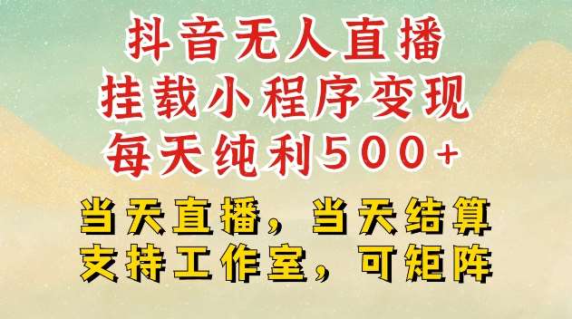 抖音无人直播挂载小程序变现每天纯利500+当天直播，当天结算支持工作室，可矩阵【揭秘】-赛德副业库