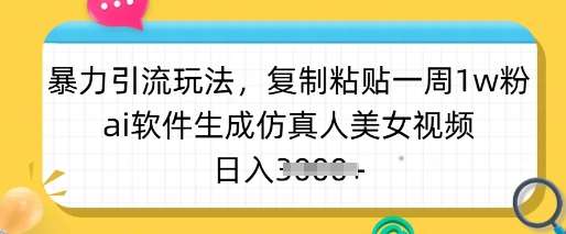 暴力引流玩法，复制粘贴一周1w粉，ai软件生成仿真人美女视频，日入多张-赛德副业库