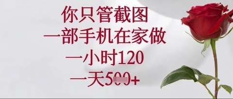 你只管截图,一部手机在家操作,一小时120.一天5张【揭秘】-赛德副业库