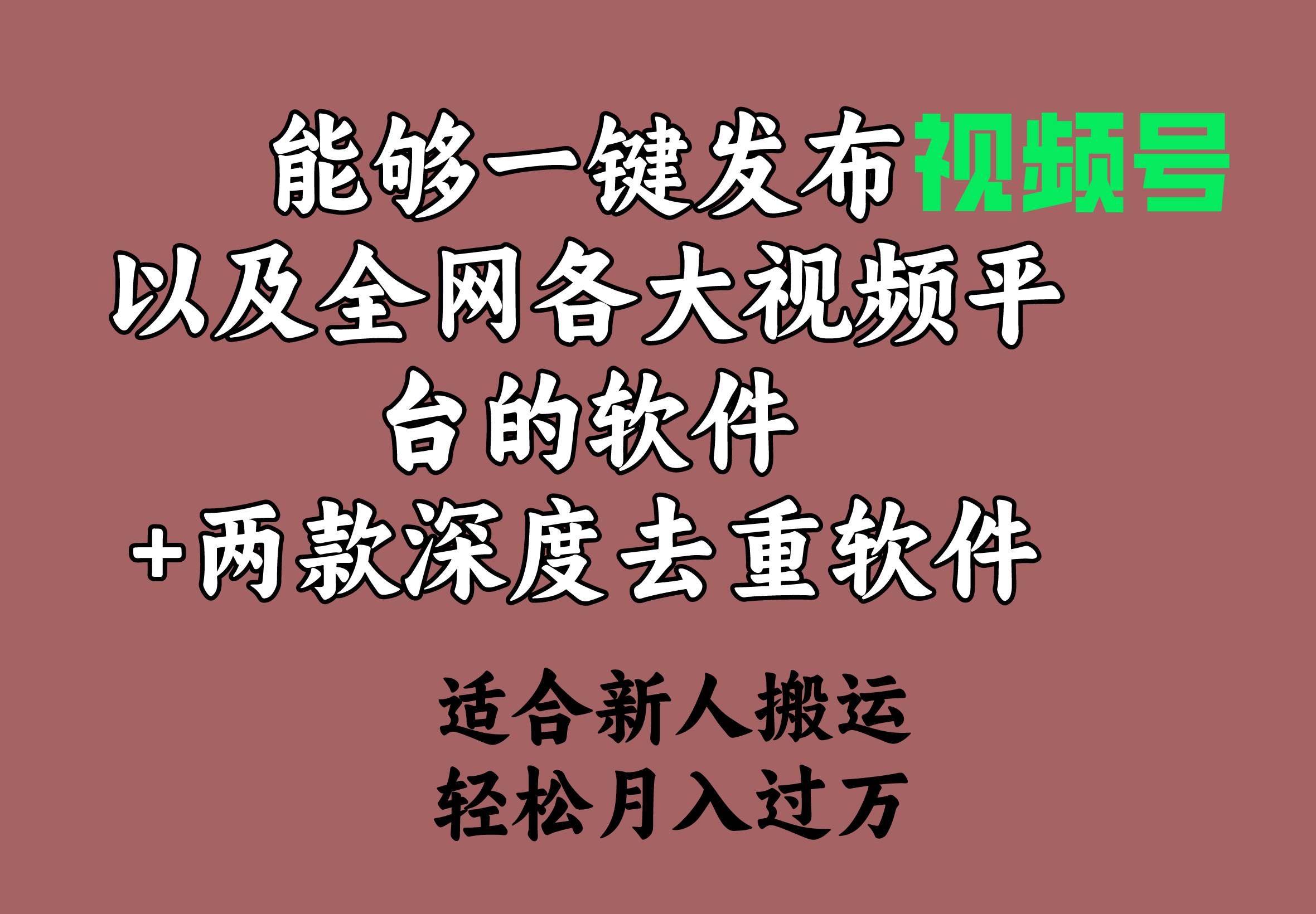 （9319期）能够一键发布视频号以及全网各大视频平台的软件+两款深度去重软件 适合…-赛德副业库