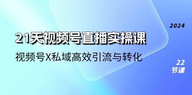 21天视频号直播实操课，视频号X私域高效引流与转化（22节课）-赛德副业库