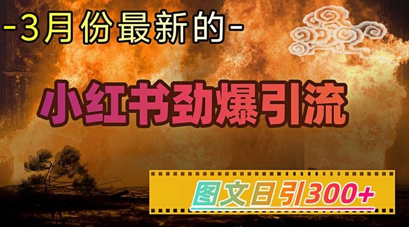 小红书超劲爆引流手段，图文日引300+轻松变现1W-赛德副业库