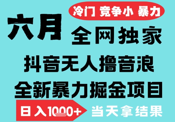 2025年6月高爆抖音无人直播最新撸音浪掘金项目,无脑日入1k+,低门槛小白可做,可矩阵放大【揭秘】-赛德副业库