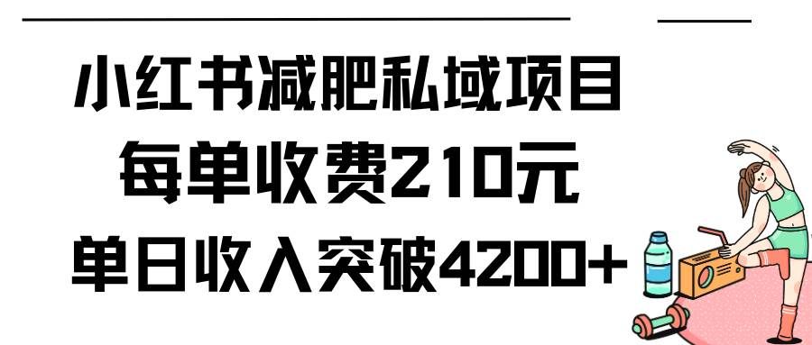 （9466期）小红书减肥私域项目每单收费210元单日成交20单，最高日入4200+-赛德副业库