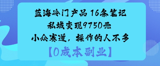 蓝海冷门产品：16条笔记私域变现9750米小众赛道，操作的人不多-赛德副业库