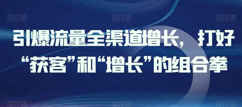 引爆流量全渠道增长，打好“获客”和“增长”的组合拳-赛德副业库