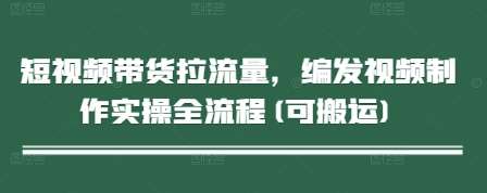 短视频带货拉流量，编发视频制作实操全流程(可搬运)-赛德副业库