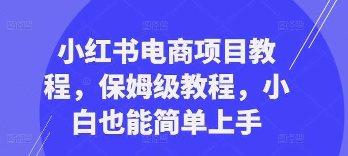 小红书电商项目教程，保姆级教程，小白也能简单上手-赛德副业库