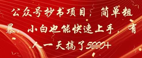 公众号抄书项目,简单粗暴,小白也能快速上手,有人一天搞了1k+-赛德副业库