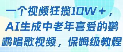 一个视频狂揽10W+点赞，AI生成中老年喜爱的鹦鹉唱歌视频，保姆级教程，轻松挣取创作者分成-赛德副业库