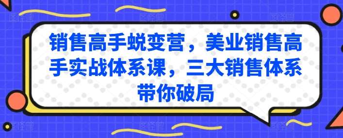 销售高手蜕变营，美业销售高手实战体系课，三大销售体系带你破局-赛德副业库