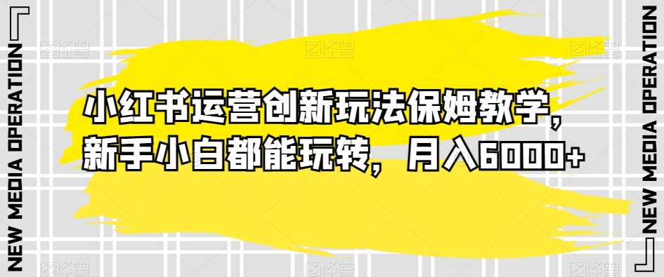 小红书运营创新玩法保姆教学,新手小白都能玩转,月入6000+【揭秘】-赛德副业库