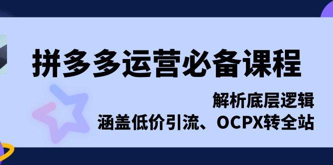 （13700期）拼多多运营必备课程，解析底层逻辑，涵盖低价引流、OCPX转全站-赛德副业库