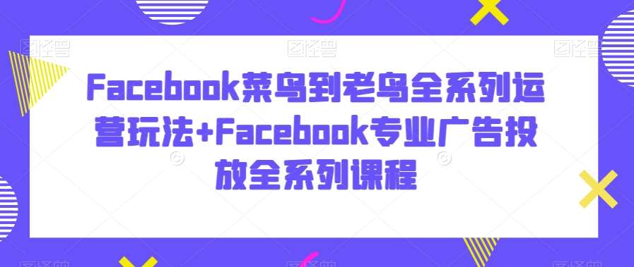 Facebook菜鸟到老鸟全系列运营玩法+Facebook专业广告投放全系列课程-赛德副业库