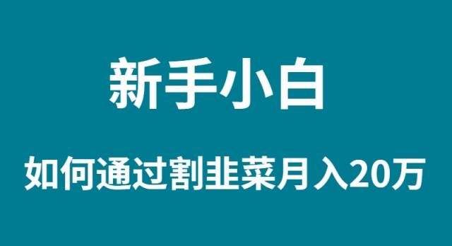 （9308期）新手小白如何通过割韭菜月入 20W-赛德副业库