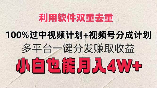 (11862期)利用软件双重去重,100%过中视频+视频号分成计划小白也可以月入4W+-赛德副业库