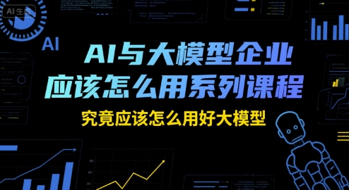 AI与大模型企业应该怎么用系列课程,究竟应该怎么用好大模型-赛德副业库