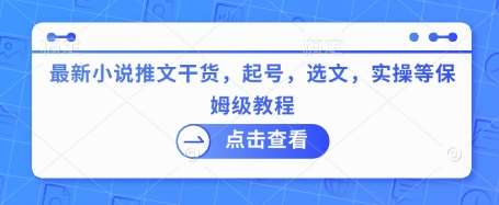 最新小说推文干货,起号,选文,实操等保姆级教程-赛德副业库