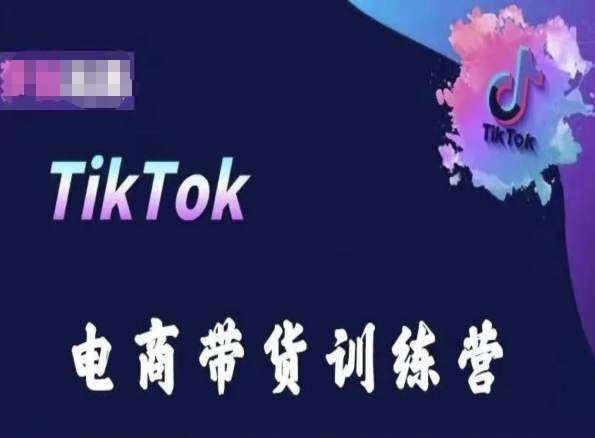 TikTok电商带货训练营，跟随时代潮流，跨境掘金-赛德副业库