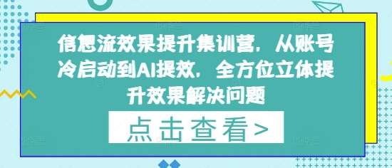 信息流效果提升集训营,从账号冷启动到AI提效,全方位立体提升效果解决问题-赛德副业库