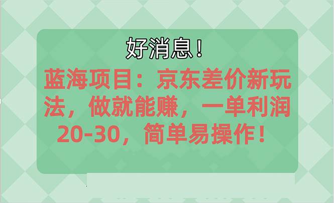 （10989期）越早知道越能赚到钱的蓝海项目：京东大平台操作，一单利润20-30，简单…-赛德副业库
