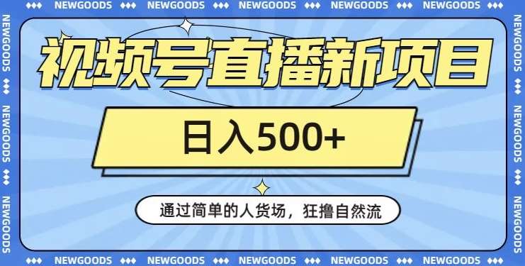 视频号直播新项目，通过简单的人货场，狂撸自然流，日入500+【260G资料】-赛德副业库