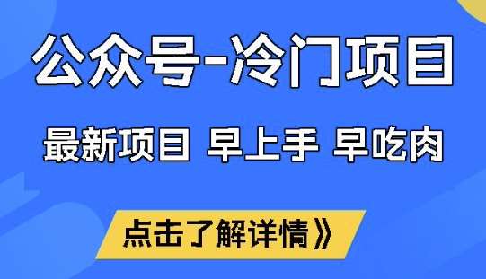 公众号冷门赛道，早上手早吃肉，单月轻松稳定变现1W【揭秘】-赛德副业库