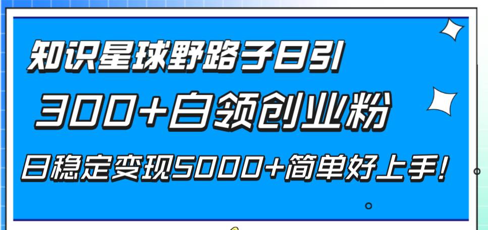 （8315期）知识星球野路子日引300+白领创业粉，日稳定变现5000+简单好上手！-赛德副业库
