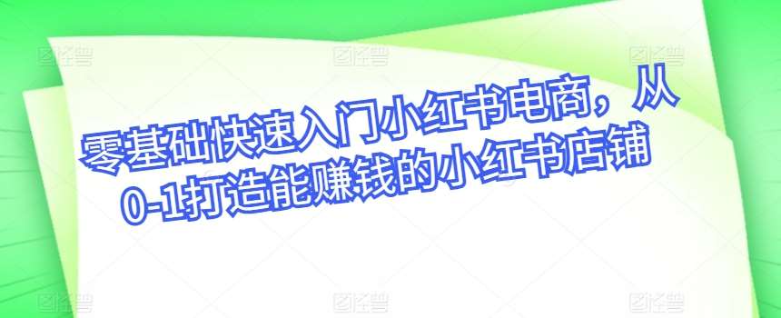 零基础快速入门小红书电商，从0-1打造能赚钱的小红书店铺-赛德副业库