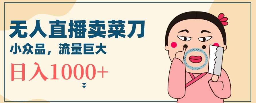 无人冷门品直播新玩法，通过卖菜刀日入1000+【揭秘】-赛德副业库