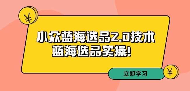 拼多多培训第33期：小众蓝海选品2.0技术-蓝海选品实操！-赛德副业库