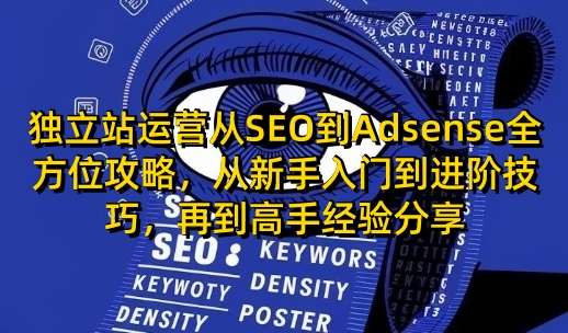 独立站运营从SEO到Adsense全方位攻略，从新手入门到进阶技巧，再到高手经验分享-赛德副业库