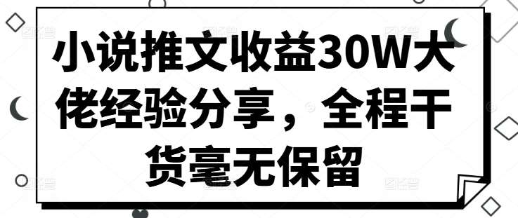 小说推文收益30W大佬经验分享，全程干货毫无保留-赛德副业库