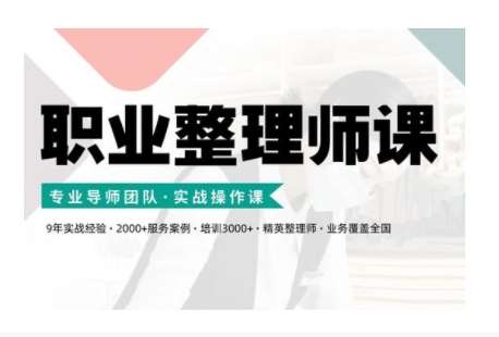 职业整理师培训(新版)，实战操作课-赛德副业库