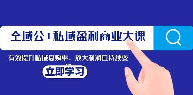 （8045期）全域公+私域盈利商业大课，有效提升私域复购率，放大利润且持续变现-赛德副业库