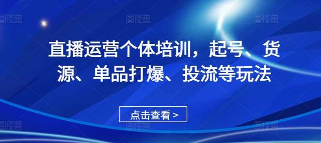 直播运营个体培训，起号、货源、单品打爆、投流等玩法-赛德副业库