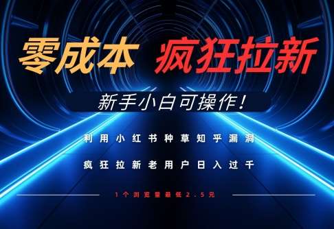 利用小红书种草知乎漏洞，零成本疯狂拉新日入数张，新手小白可操作-赛德副业库