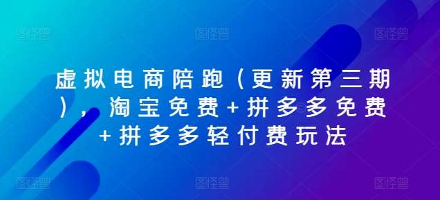 虚拟电商陪跑(更新第三期)，淘宝免费+拼多多免费+拼多多轻付费玩法-赛德副业库