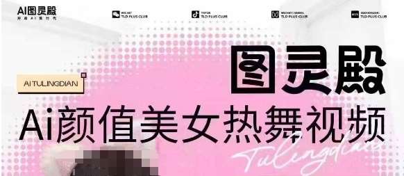 全网首发，原价988图灵殿AI颜值美女热舞视频，云端生图，轻松过原创-赛德副业库