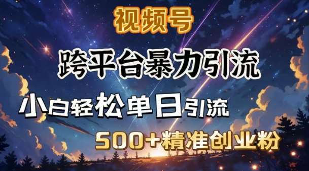 跨平台暴力引流,私域完美闭环,日引500+精准创业粉-赛德副业库