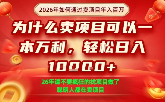 一单净利润1K+，26年想年入100个W，死磕卖项目就够了【揭秘】-赛德副业库