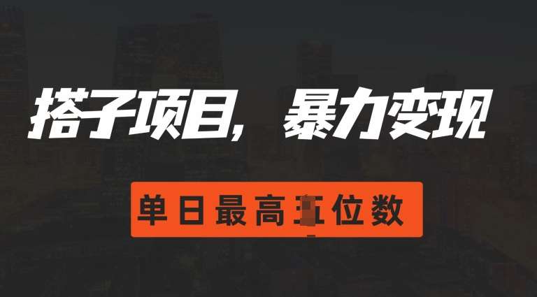 2024搭子玩法，0门槛，暴力变现，单日最高破四位数【揭秘】-赛德副业库