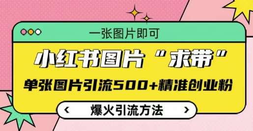 小红书图片‘求带’爆火引流法，单张图片引流500+精准创业粉【揭秘】-赛德副业库