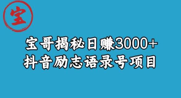 宝哥揭秘日赚3000+抖音励志语录号短视频变现项目-赛德副业库