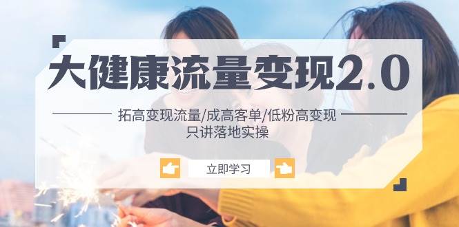 （10871期）大健康 流量 变现2.0：拓高变现 流量/成高客单/低粉高变现/只讲落地实战-赛德副业库