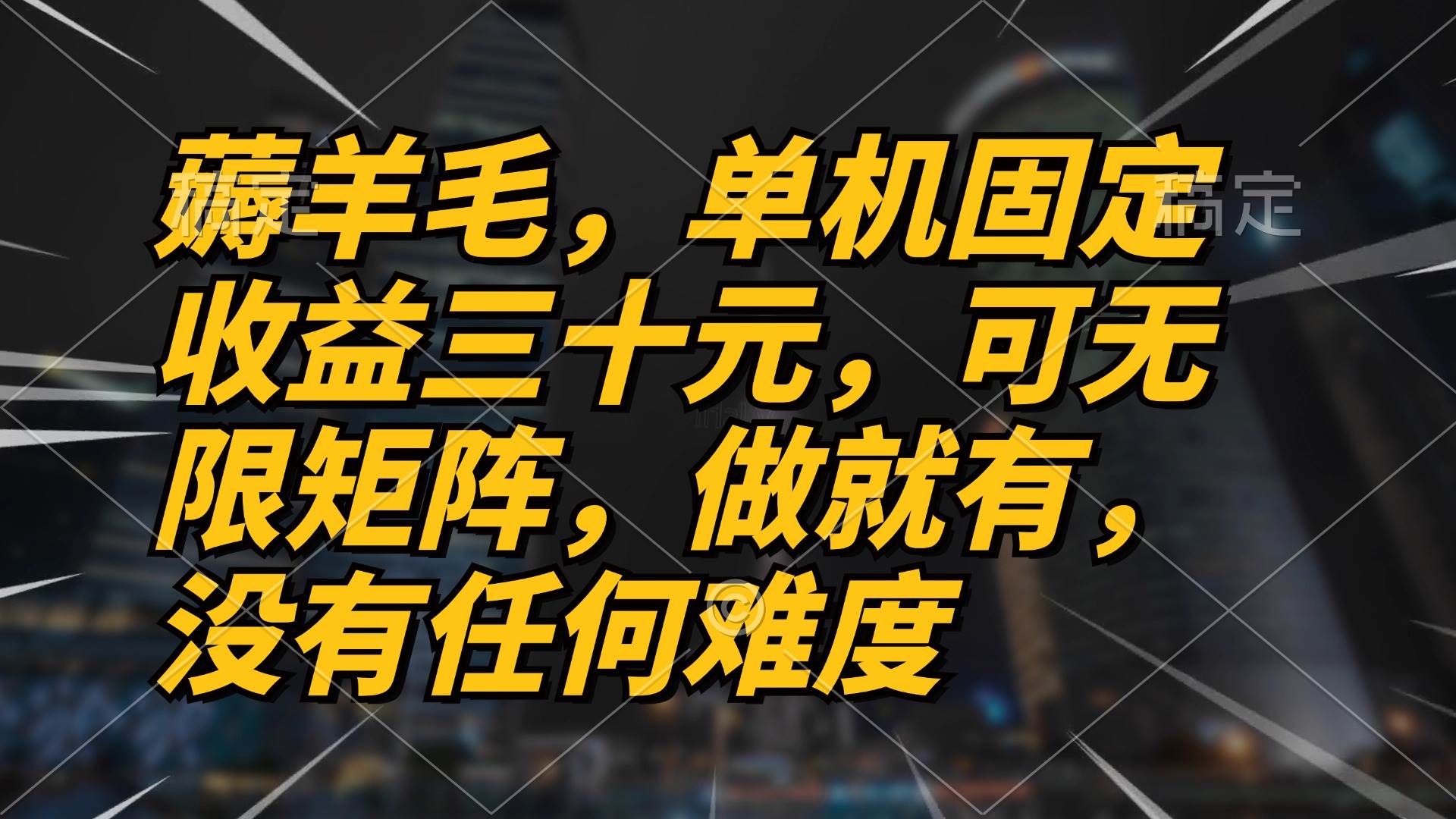 （13162期）薅羊毛项目，单机三十元，做就有，可无限矩阵 无任何难度-赛德副业库