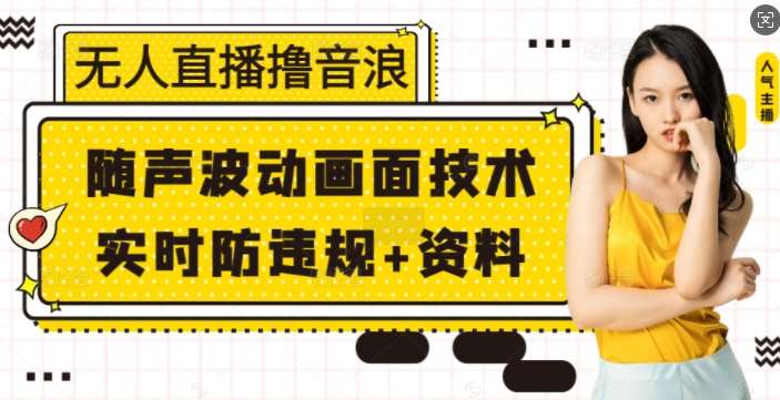 无人直播撸音浪+随声波动画面技术+实时防违规+资料【揭秘】-赛德副业库