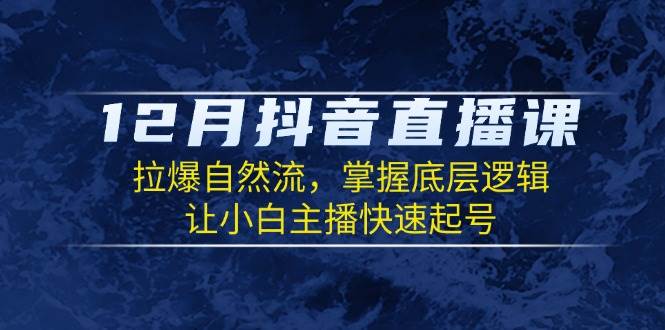 （13807期）12月抖音直播课：拉爆自然流，掌握底层逻辑，让小白主播快速起号-赛德副业库